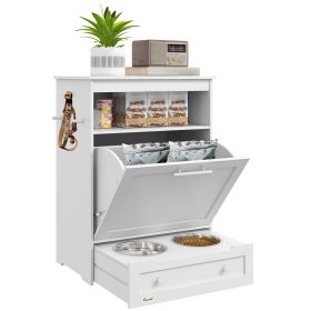Pet Feeder Station with Storage, Dog Food Storage Container with 2 Raised Dog Bowls, White